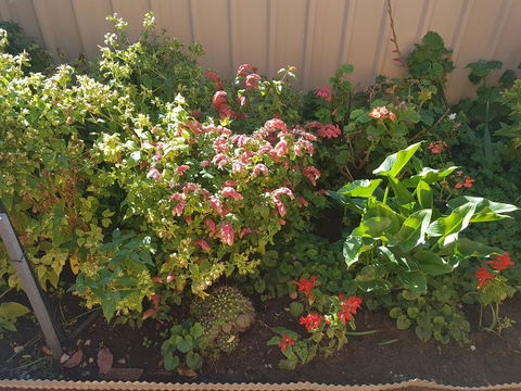 Tanunda\'s Magpie House - Broome Tourism 24