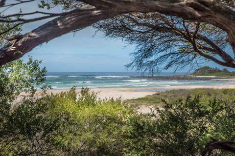 BIG4 Tasman Holiday Parks - Racecourse Beach - Broome Tourism 7