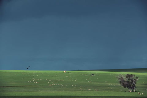 Boutique Getaway On Wright - Broome Tourism 29