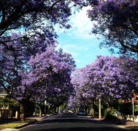 Monaco Court Apartment Adelaide - Broome Tourism