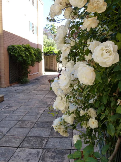 Monaco Court Apartment Adelaide - Broome Tourism 19