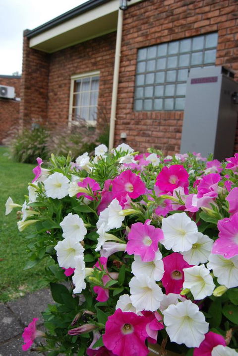 Arkana Motor Inn & Terrace Apartments - Broome Tourism 40