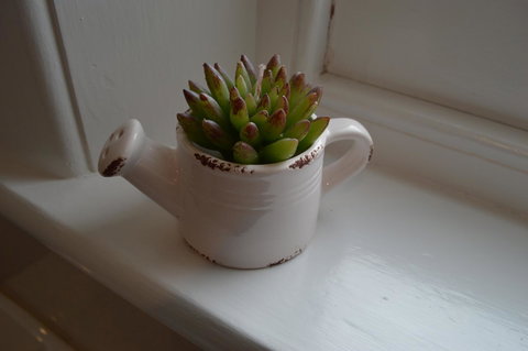 Two Cow Cottage Bed & Breakfast - Broome Tourism 21