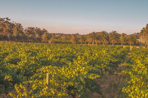 Seppelts View Cabins - Broome Tourism 8