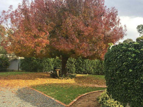 Barossa Retro BnB - Broome Tourism 30