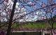 Amy\'s House Bed & Breakfast - thumb 40