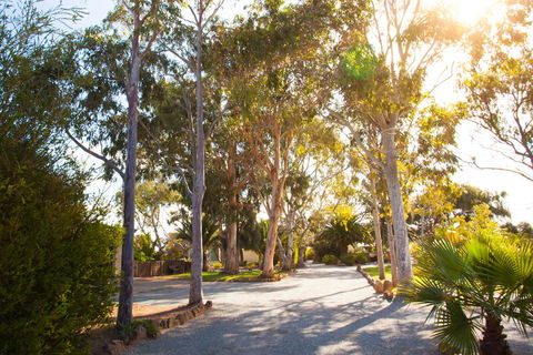 Modra\'s Apartments - Broome Tourism 0