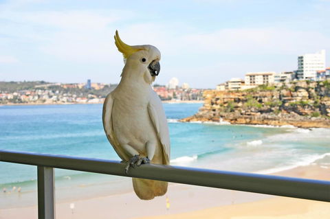 Beachfront Bliss - Broome Tourism 23