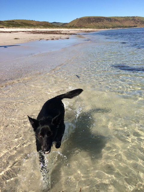 Beachside Holiday Park - Broome Tourism 17