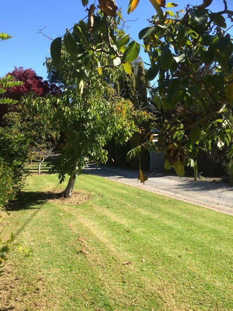 Vineyard Cottage BnB - Broome Tourism 17