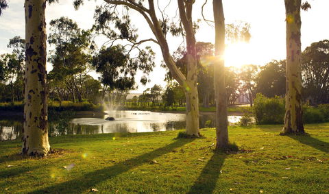 Serafino McLaren Vale - Broome Tourism 14