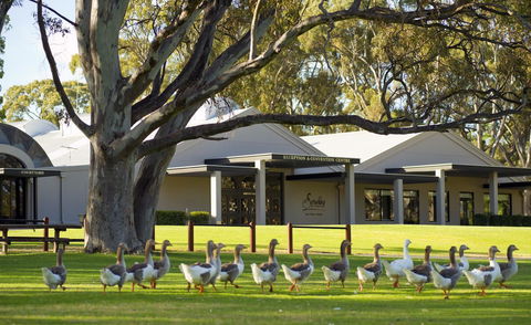 Serafino McLaren Vale - Broome Tourism 0