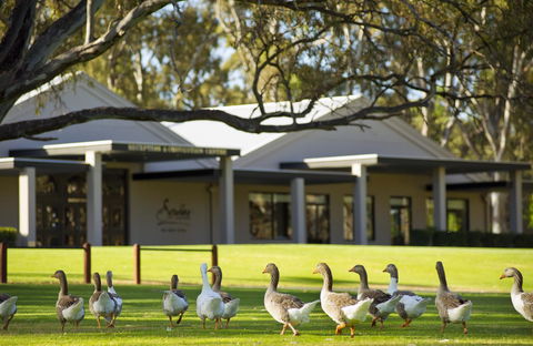 Serafino McLaren Vale - Broome Tourism 17