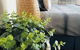 Barossa Valley Studio - thumb 12