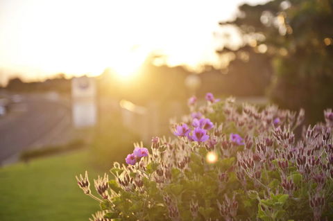 Kangaroo Island Seaside Inn - Broome Tourism 33