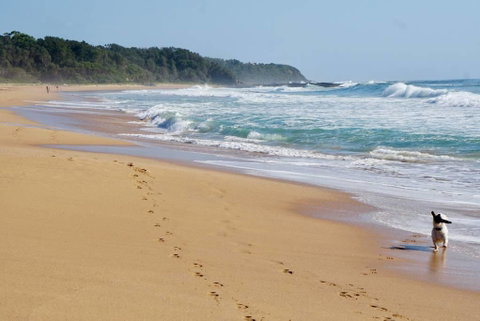 Culburra Beachhouse - Broome Tourism 7