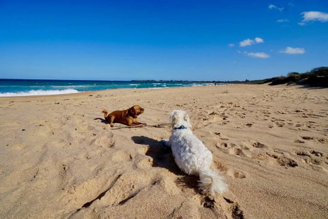 Culburra Beachhouse - Broome Tourism 8