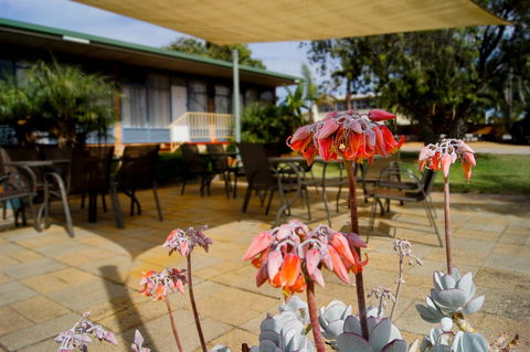Kangaroo Island Seaview Motel - Broome Tourism 3