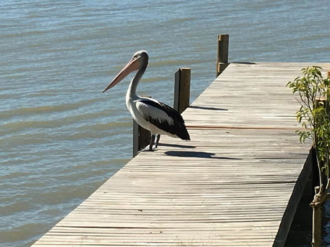 Washpool Retreat - Broome Tourism 20