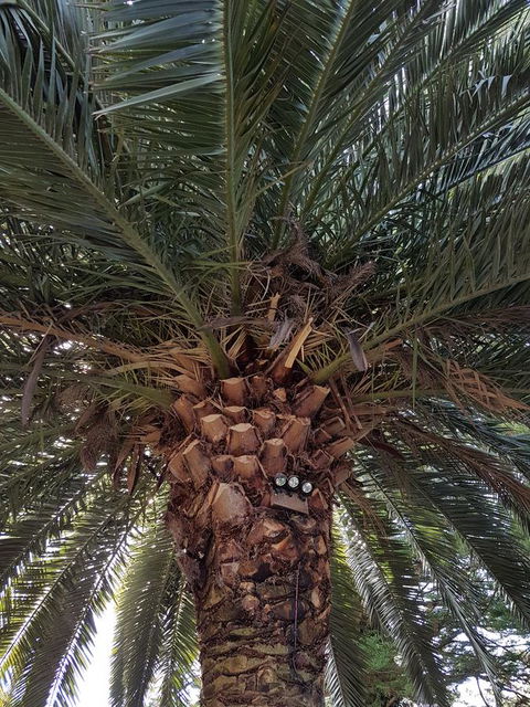 Possum Cottage - Broome Tourism 3