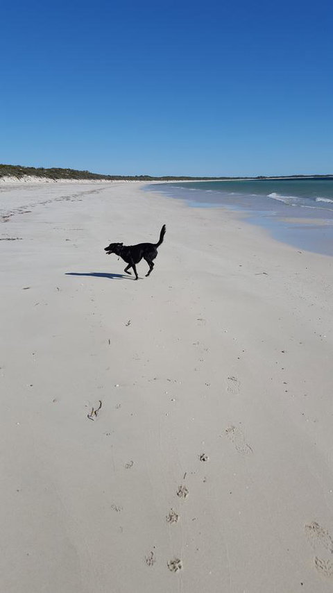 Cosy Nook - Broome Tourism 39