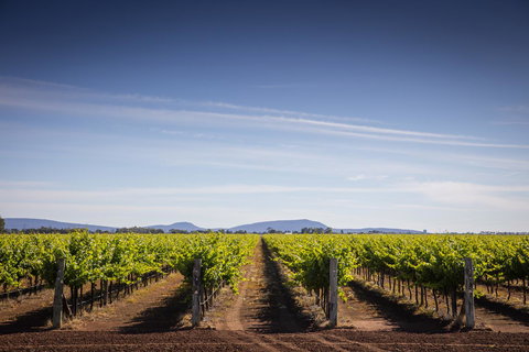 Quest Griffith - Broome Tourism 14