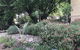 Adagio In Auburn - thumb 10