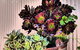 Andy\'s Accommodation - thumb 13