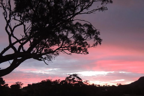 Wozza's B&B - Broome Tourism 3
