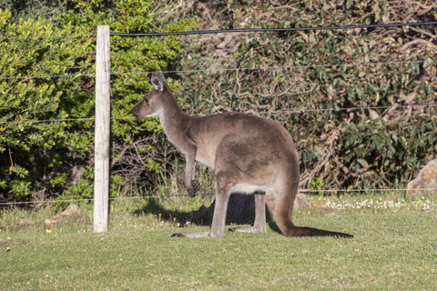 Chandlers Smiths Beach Villas - Broome Tourism 15