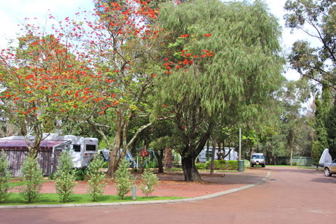 Margaret River Tourist Park - Broome Tourism 43