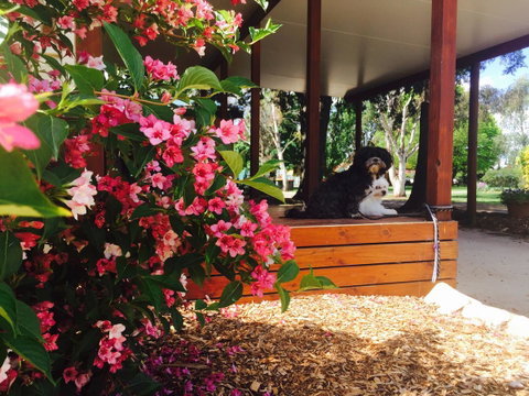 Armidale Tourist Park - Broome Tourism 34