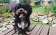 Armidale Tourist Park - thumb 32