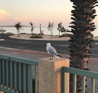 Shark Bay Seafront Apartments - Broome Tourism