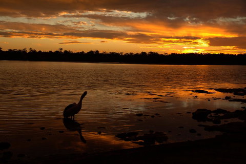 Dungowan Holiday Accommodation - Broome Tourism 31