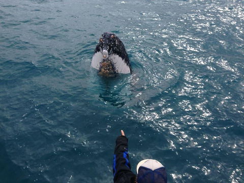 Number 72 Kalbarri Riverview Apartments - Broome Tourism 11