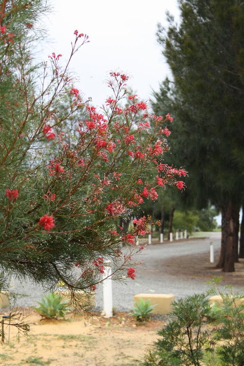 The Heights Bed & Breakfast - Broome Tourism 0