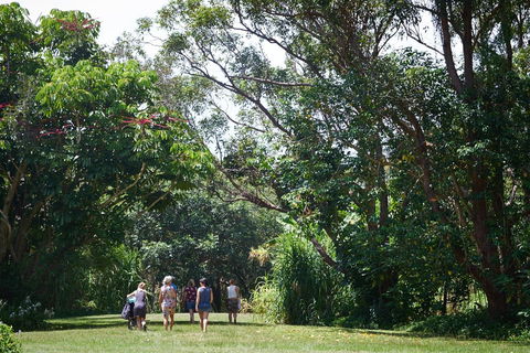 Ingenia Holidays Byron Bay - Broome Tourism 11