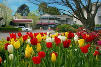 Book Leura Accommodation Vacations Broome Tourism Broome Tourism