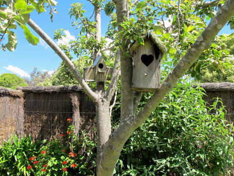 Apple Tree Cottage - Broome Tourism 28