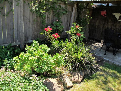 Apple Tree Cottage - Broome Tourism 26