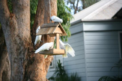 Huskisson Holiday Motel Cabins - Broome Tourism 29