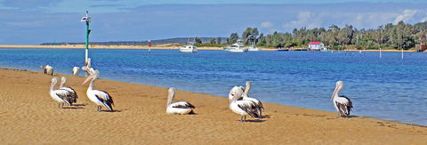 Pelican Motor Inn - Broome Tourism 29