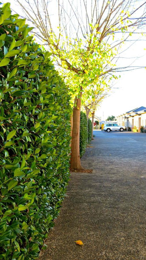 Best Western Plus Goulburn - Broome Tourism 37