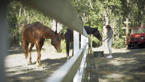The Woods Farm Jervis Bay - Broome Tourism 13