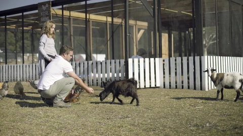 The Woods Farm Jervis Bay - Broome Tourism 14