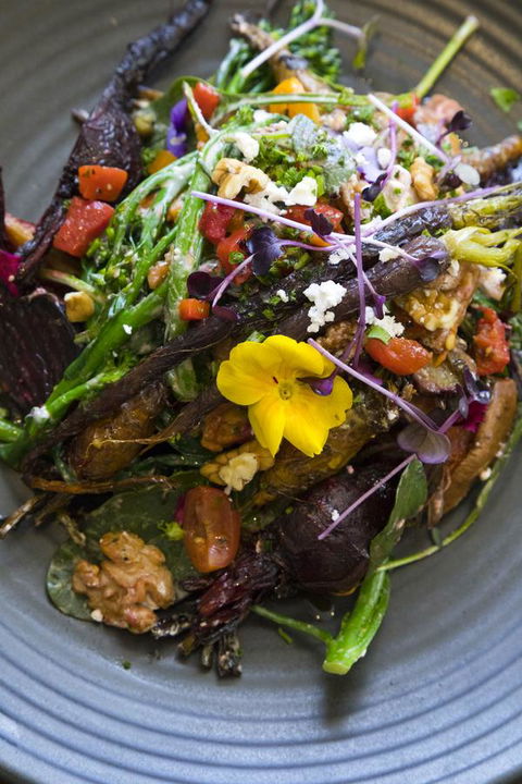 Sage Hotel Wollongong - Broome Tourism 21