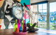 Mad Monkey Hostel Coogee Beach - thumb 33