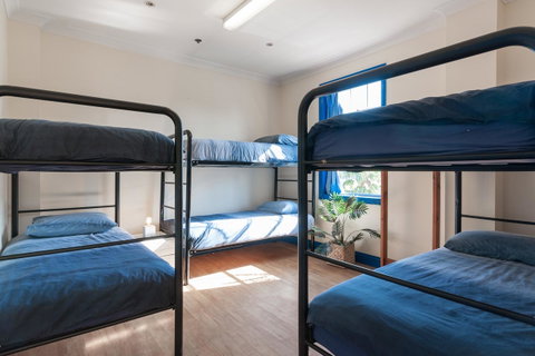 Mad Monkey Hostel Coogee Beach - Broome Tourism 24