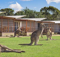 Discovery Parks  Pambula Beach - Broome Tourism